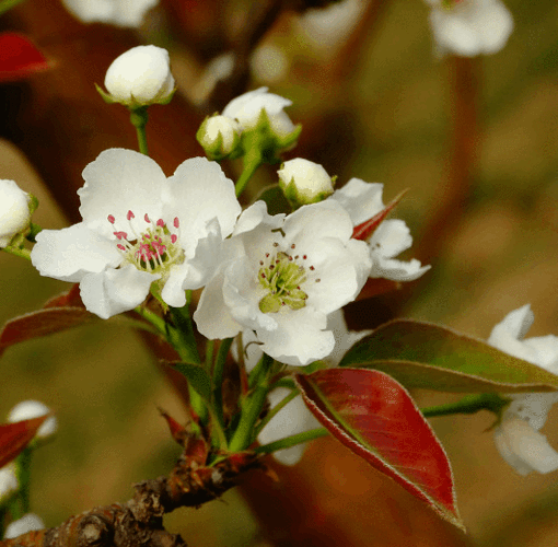 530_520gif 动态图 动图