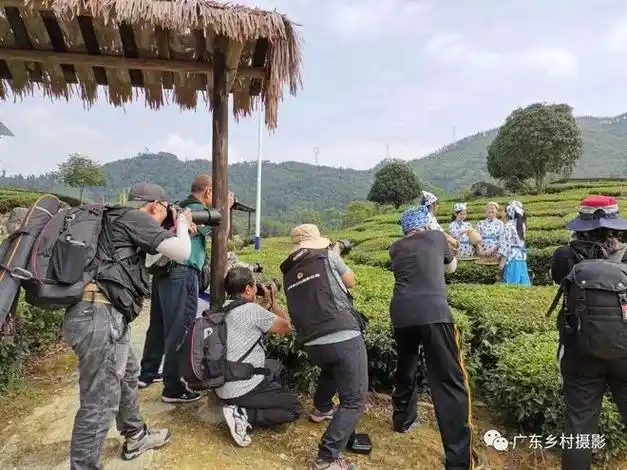 采风行:想你的风吹到了清远~|露营|清城|乡村|清远市|清新区|摄影家