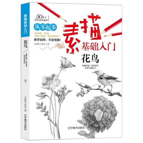 素描基础入门(花鸟)铅笔画初学者美术书零基础入门书 素描速写教程