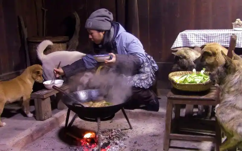 带着猫狗野居湖南苗寨,突降温20度,瑟瑟发抖,围炉烤火煮火锅