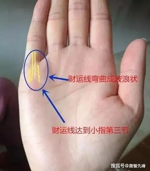 一生穷最漏财的手相