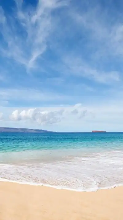 400_711竖版 竖屏