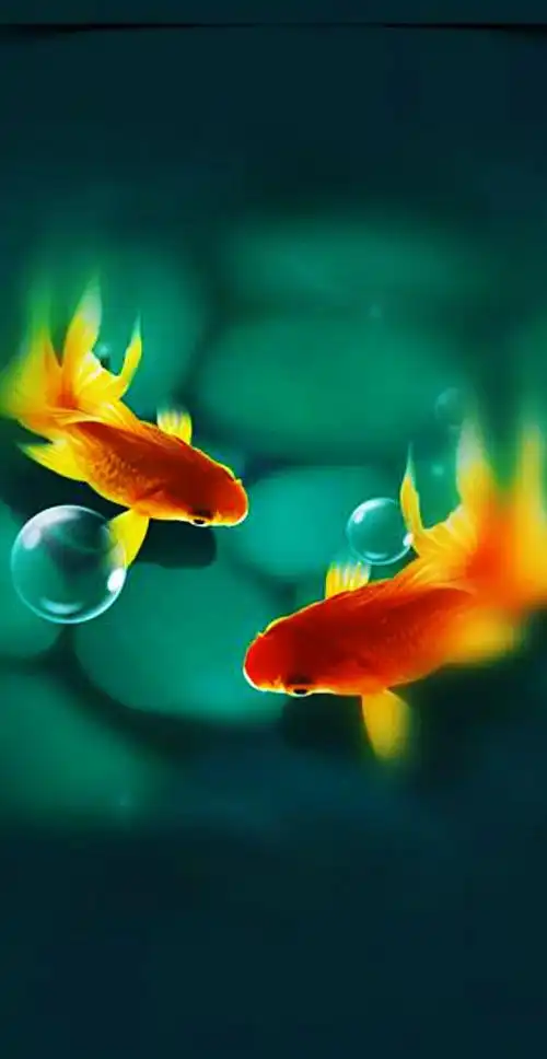 壁纸:年年有余(鱼)