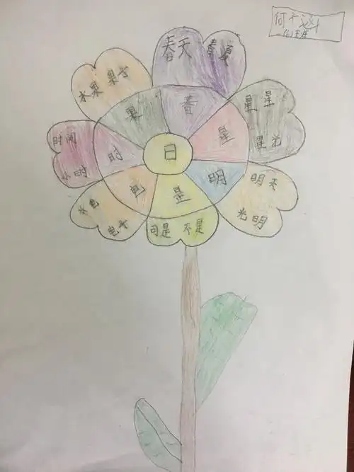 倾听花开的声音——记定南县第三小学小葵花班识字巩固思维导图