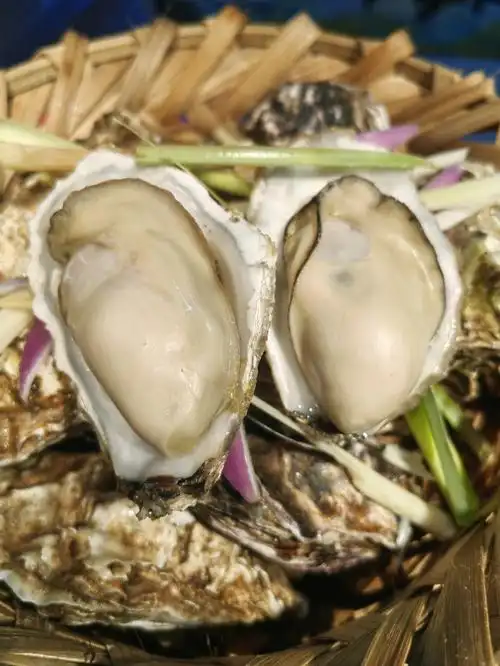 蚝贝乐高压锅生蚝