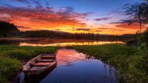 自然与风景,日落和日出原图分辨率:1920x1080下载此壁纸类似壁纸>>