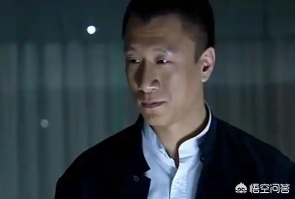 孙红雷的《征服》你觉得好看吗? - 石塘网