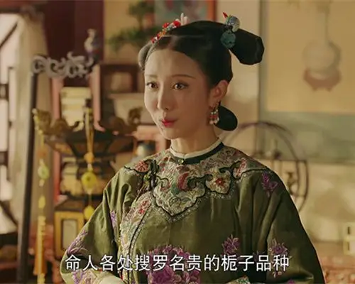 延禧攻略智商情商堪忧的小嘉嫔她不领盒饭都对不起观众