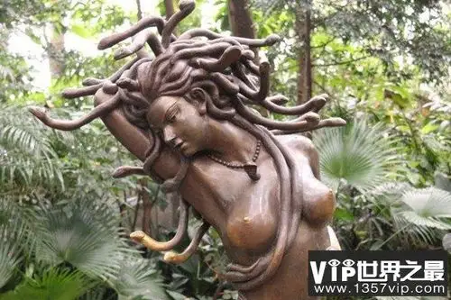 河南郑州蛇女是真的吗,传说而已根本不可信(当_vip世界之最