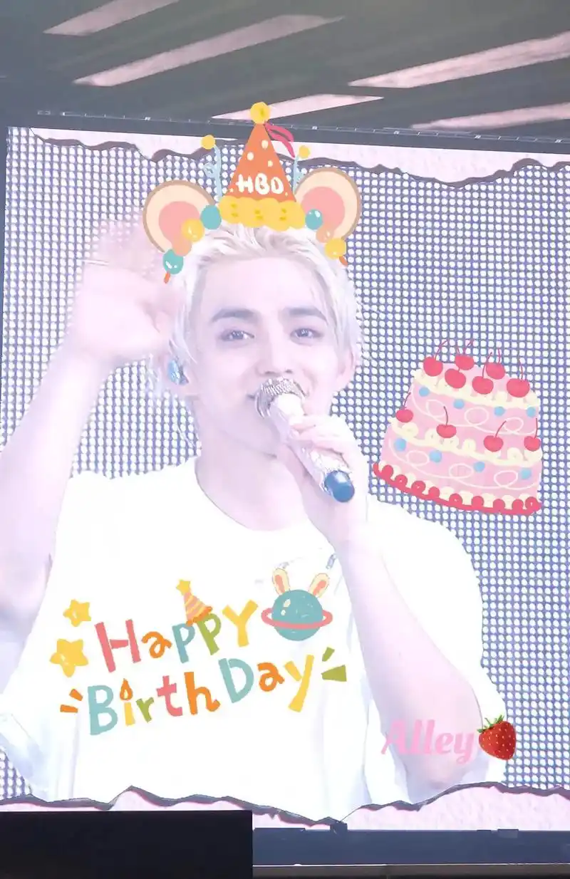 祝最好的里兜生日快乐95.谢谢你成为seventeen的队长 - 抖音