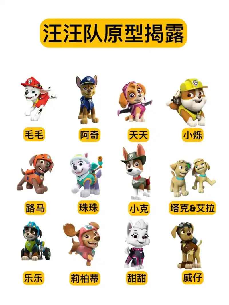 揭露汪汪队里16只狗狗的"真实身份"动画片里《汪汪队立大功》 - 抖音
