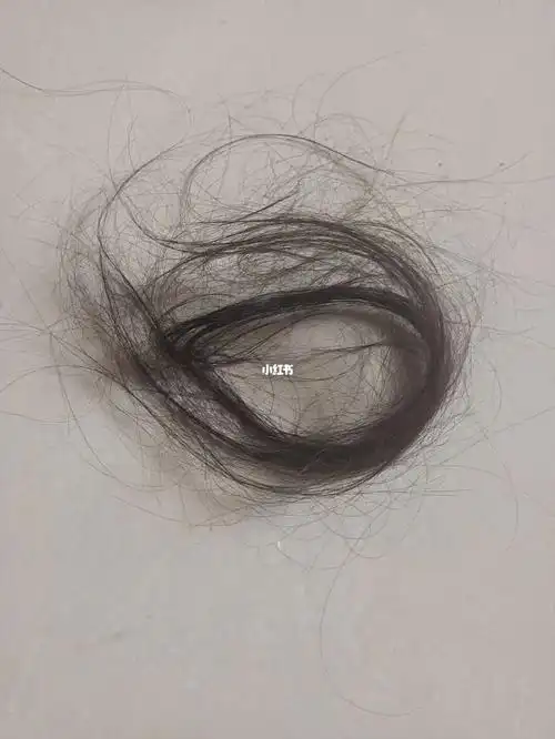 1500根左右一周所掉的头发