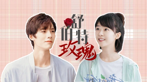 《我凭本事单身》邓超元宋伊人共赴浪漫之旅