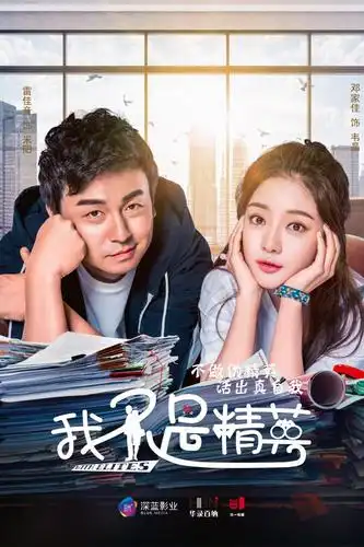 我不是精英剧情介绍第11分集(共43集)电视剧_九爱剧情网