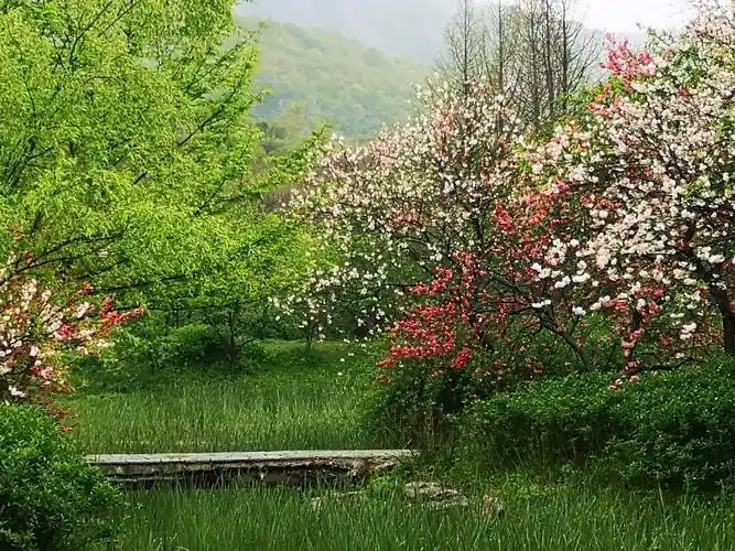雨中山水更有情.