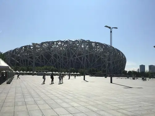 暑期鸟巢游为什么要选贵宾路线