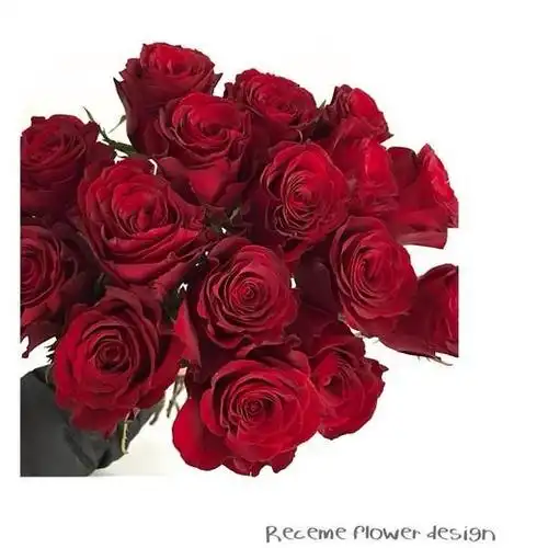 高原红玫瑰20支40支冷链包邮