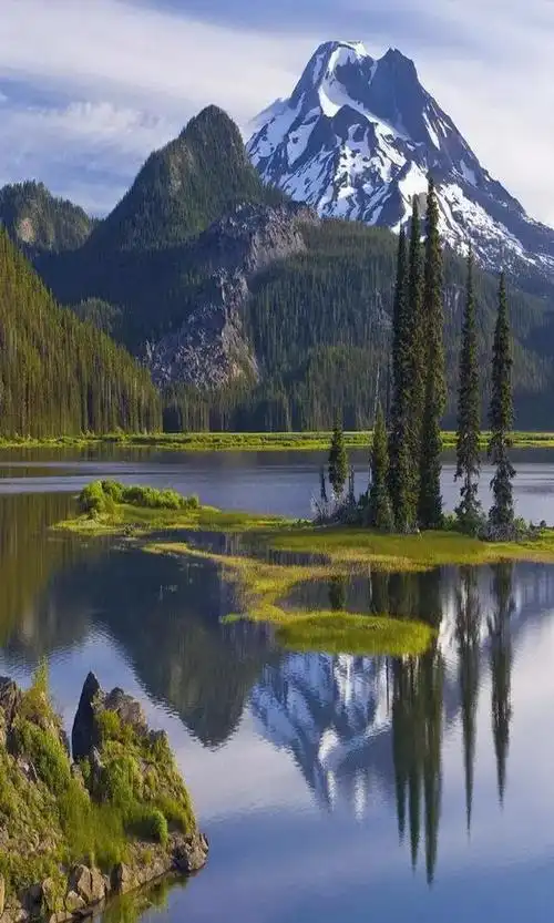 600_1000竖版 竖屏