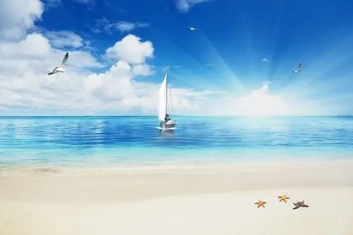 图片介绍当前图片:一帆风顺沙滩海景背景墙,主题为大海背景,可用作