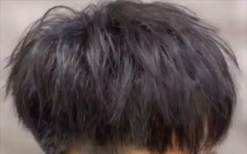 【男生发型】 碎盖推荐 钢夹烫 让头发支棱起来