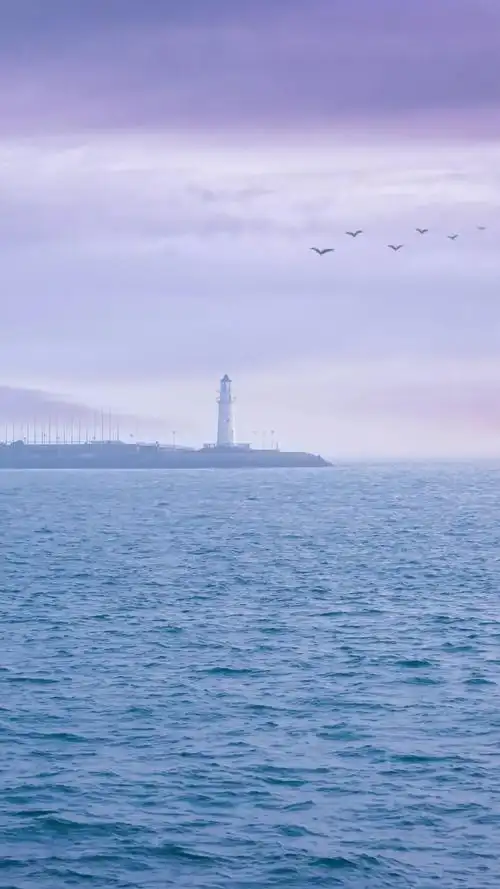 铃声壁纸鸭海边的淡蓝色壁纸清新简洁风