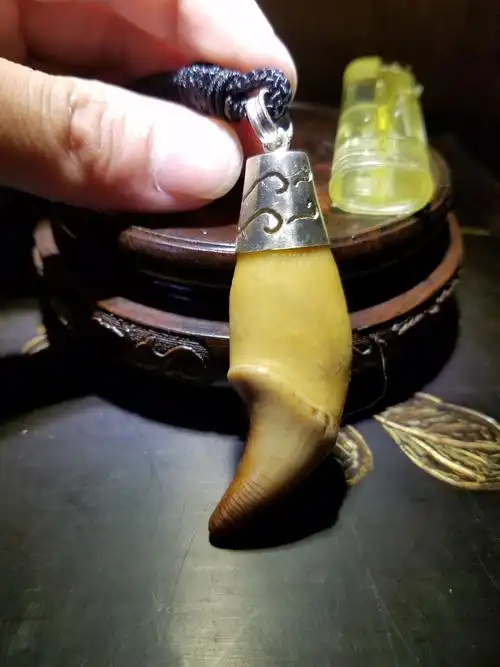老翡翠年份在100年左右具有极高的收藏价值可当配饰 熊牙吊坠牙齿