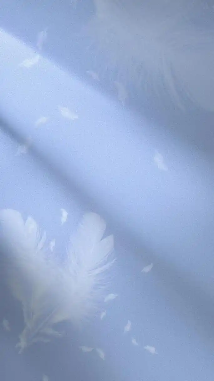 一组清新简约的背景图 第一张是壁纸的比例要图的私 其他的可以做 背