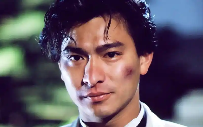 刘德华飞龙哥华弟混剪----all of me is you_哔哩