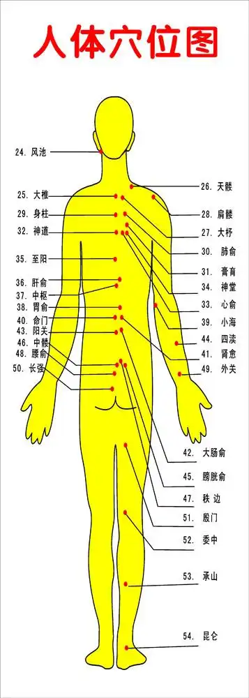 薄膜海报印制展板喷绘写真人体穴位位图塑料薄膜
