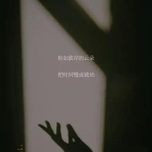 表达一个人坚强又心酸的句子,无奈伤感,让人心疼