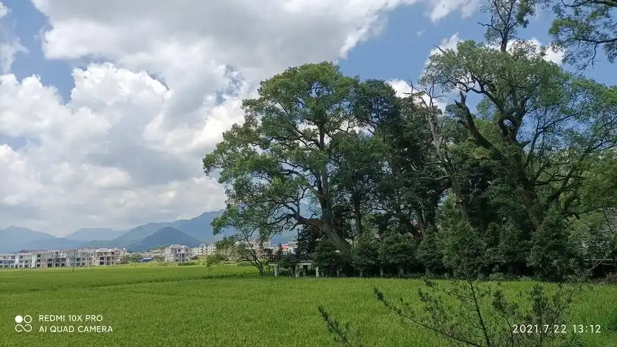 2024宜丰旅游攻略,宜丰自由行攻略,马蜂窝宜丰出游攻略游记 - 马蜂窝