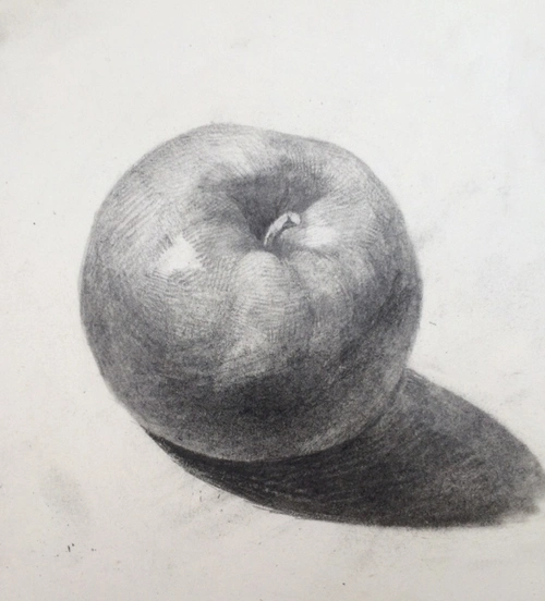简单的苹果素描画作品