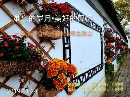 难忘的岁月美好的回忆