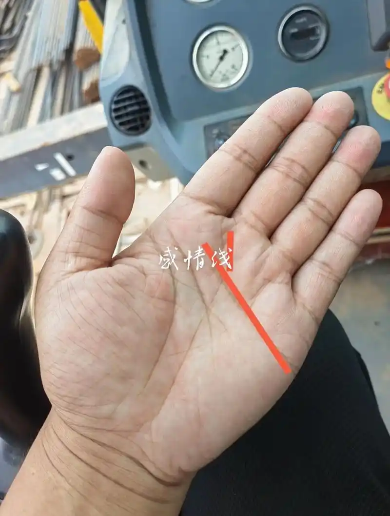 什么样的人适合创业?1,感情线末端分叉 手相中感情线末端分叉 - 抖音