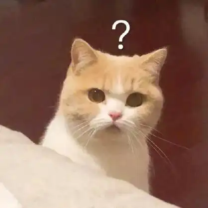 (猫咪疑惑表情包)_猫咪_疑惑表情