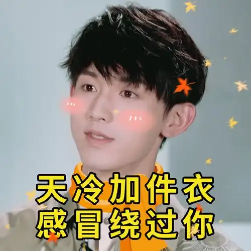 郭俊辰天气凉了表情包图片