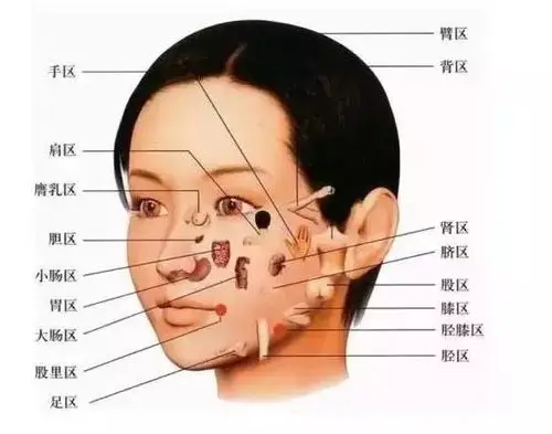 内脏有多干净,脸蛋儿就有多漂亮!_斑点