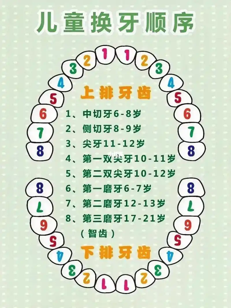 儿子马上就六岁了,今天带他去补牙,医生说,下面有两颗切牙快萌出