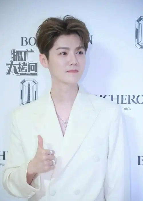 鹿晗戴耳骨钉##鹿晗项链好长