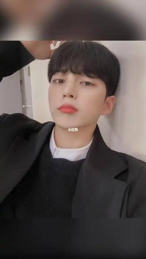 男士中分锅盖头