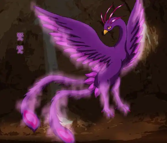 老白杂谈关于凤凰的五个种类和类似凤凰的四种孽鸟