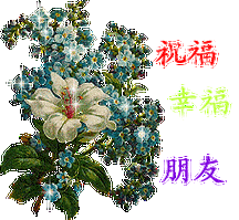 祝福健康快乐朋友文字gif动图_动态图_表情包下载_soogif