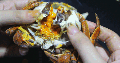 月冷风凉 想你的夜 越来越长