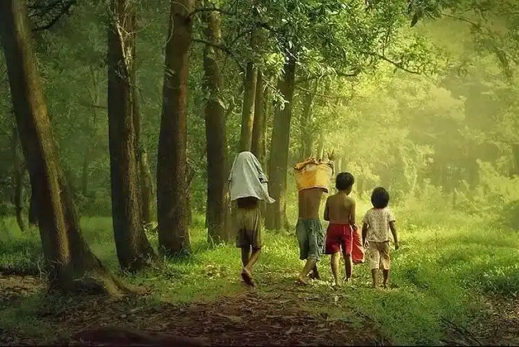 美丽的乡村梦幻的童年