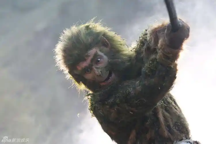 造型像绿毛的忍者神龟