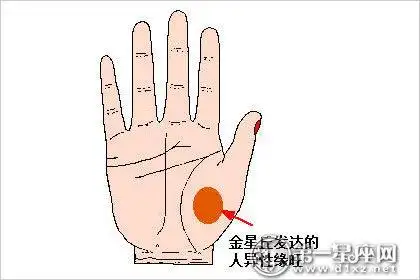 四,金星丘发达的人异性缘旺金星丘位于第一火星丘的下面,生命线内圈的