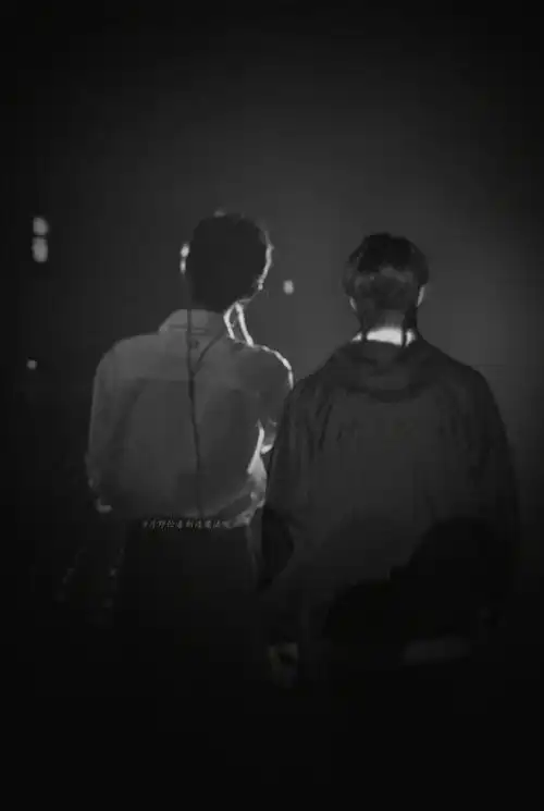 肖战王一博 博君一肖