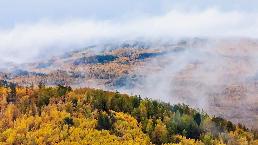 最美的秋天到了