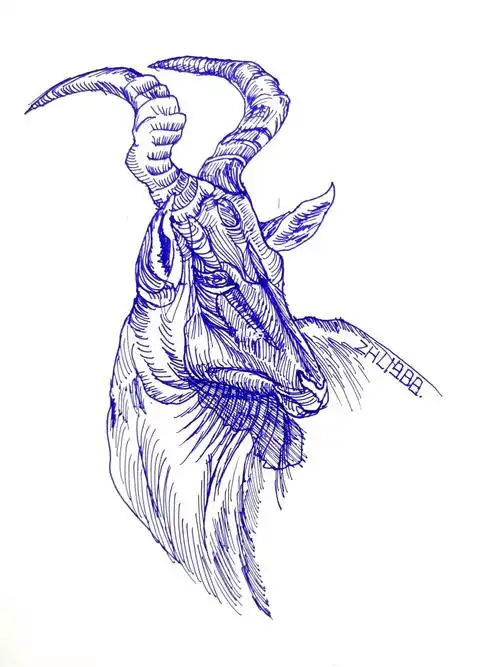 每日一画大羚羊速写