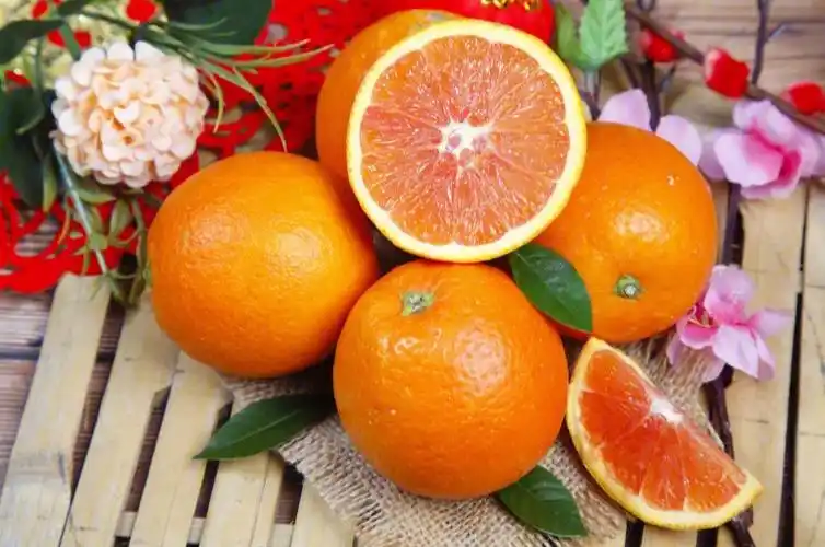 每日水果知识橙子